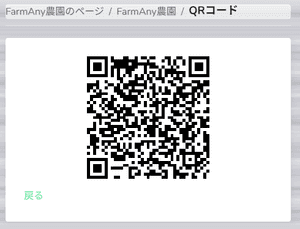 Pay at Store QR code